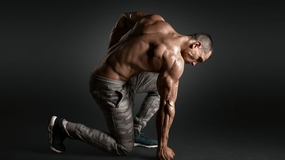 Steroidii: Cosa Sono e Come Influiscono sul Corpo Umano Steroidii: Cosa Sono e Come Influiscono sul Corpo Umano