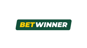 Comprehensive Overview of BetWinner Support 23